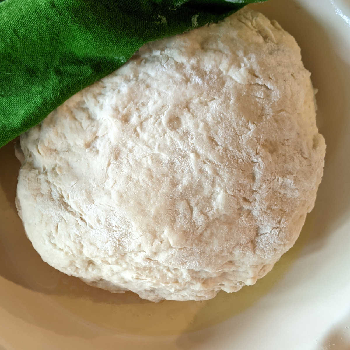 bread dough with yeast before it has risen