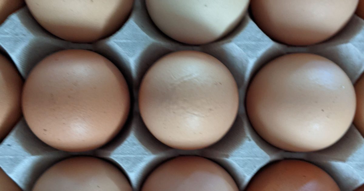 brown eggs in flat carton