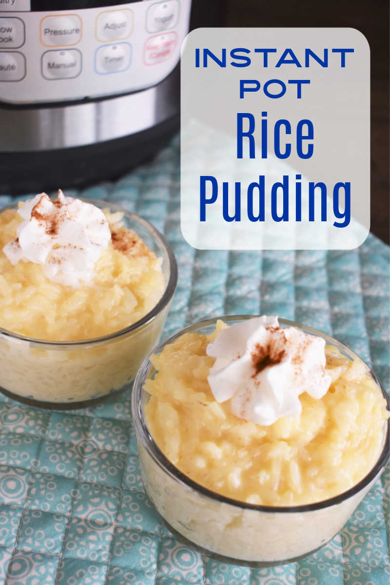 easy instant pot rice pudding