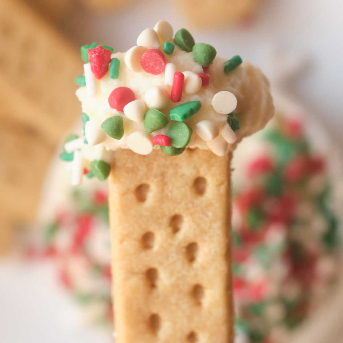 cookie with holiday dip