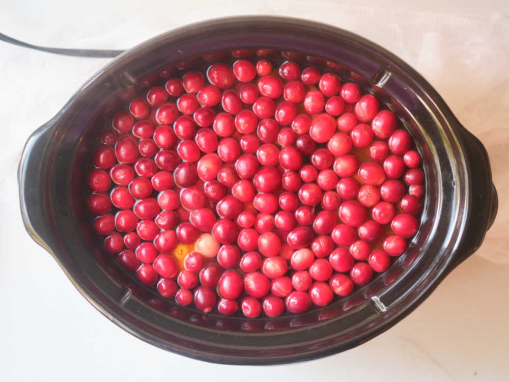 cranberries in crock pot