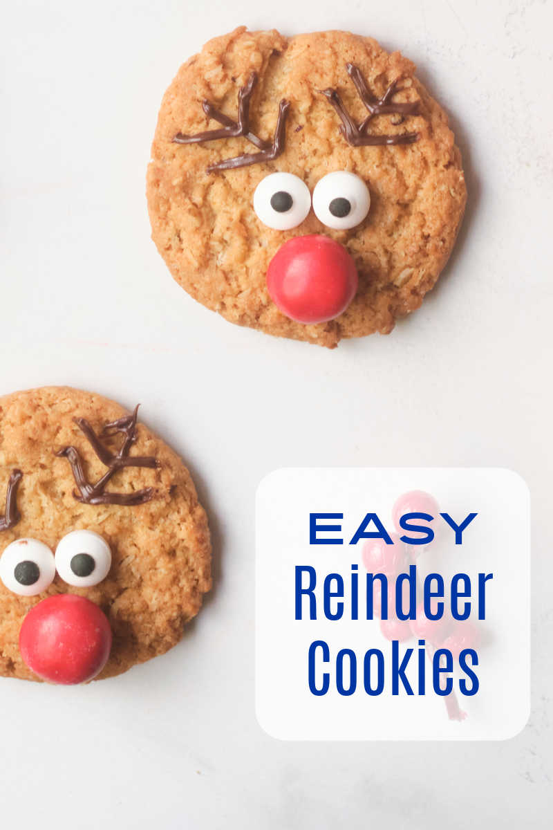 Kids and adults can have fun learning how to decorate reindeer cookies, when they follow these easy Christmas cookie instructions. 