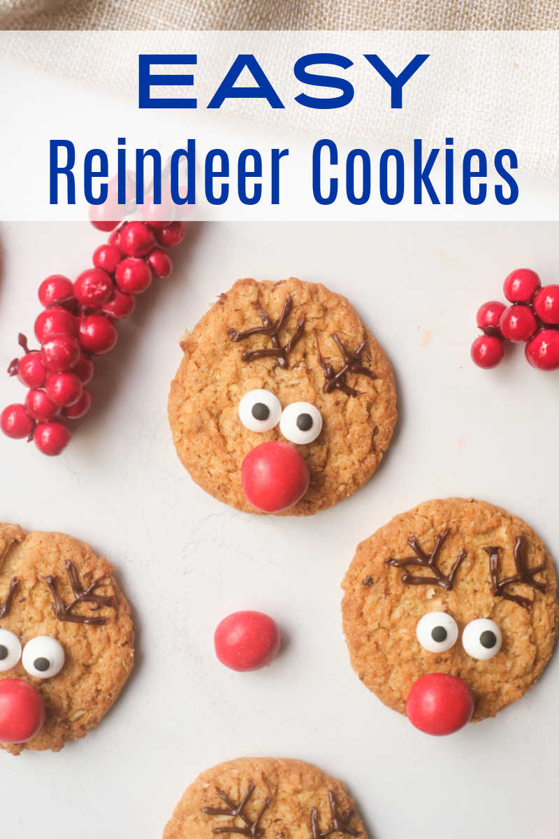 Kids and adults can have fun learning how to decorate reindeer cookies, when they follow these easy Christmas cookie instructions. 