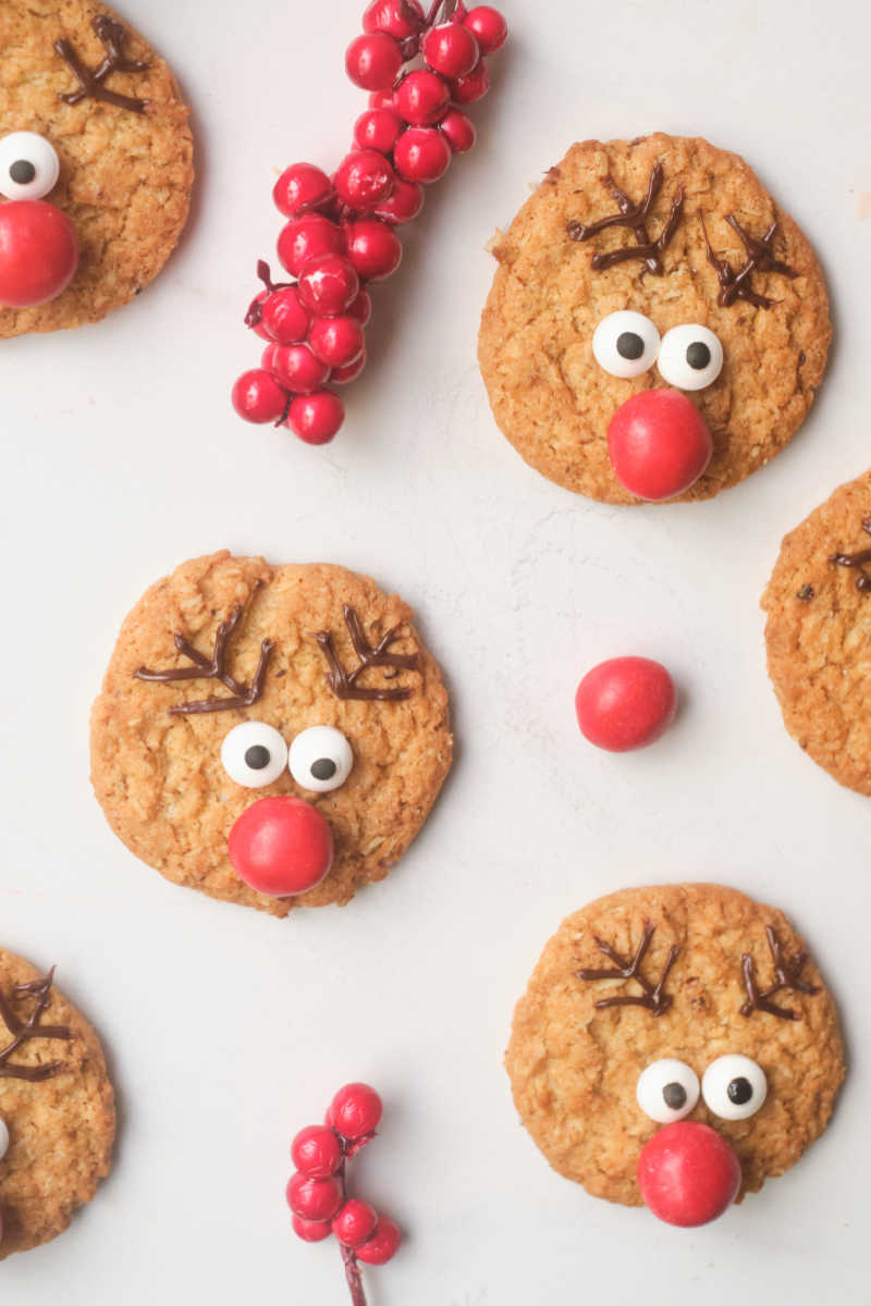 Kids and adults can have fun learning how to decorate reindeer cookies, when they follow these easy Christmas cookie instructions. 