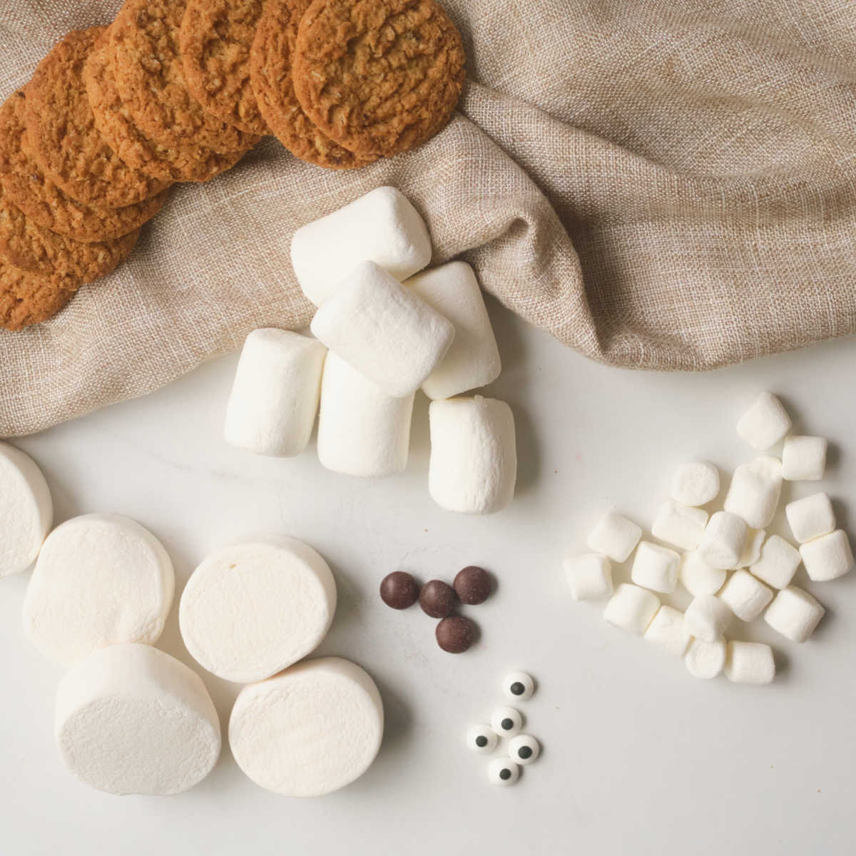 ingredients for polar bear cookies