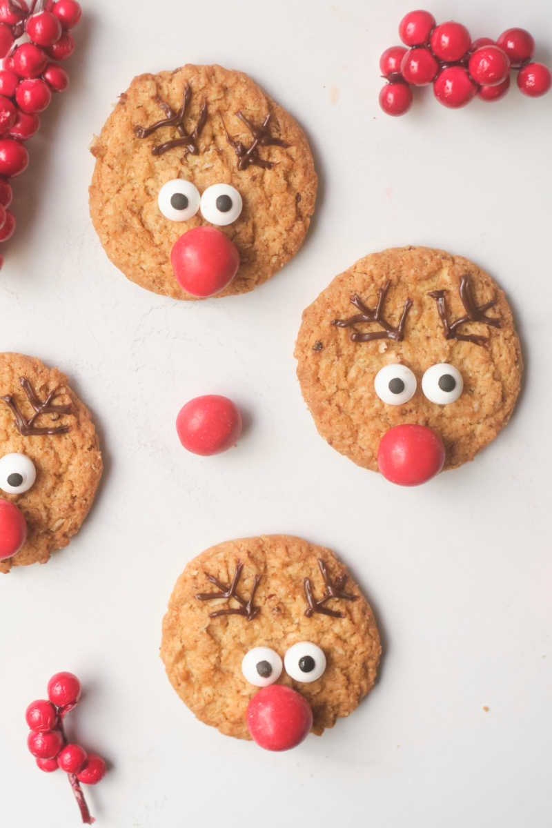 Kids and adults can have fun learning how to decorate reindeer cookies, when they follow these easy Christmas cookie instructions. 