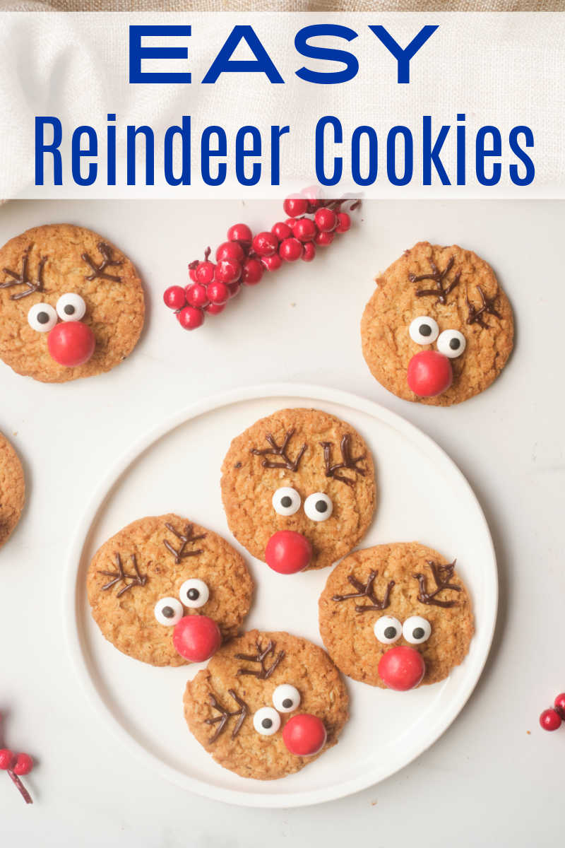 Kids and adults can have fun learning how to decorate reindeer cookies, when they follow these easy Christmas cookie instructions. 