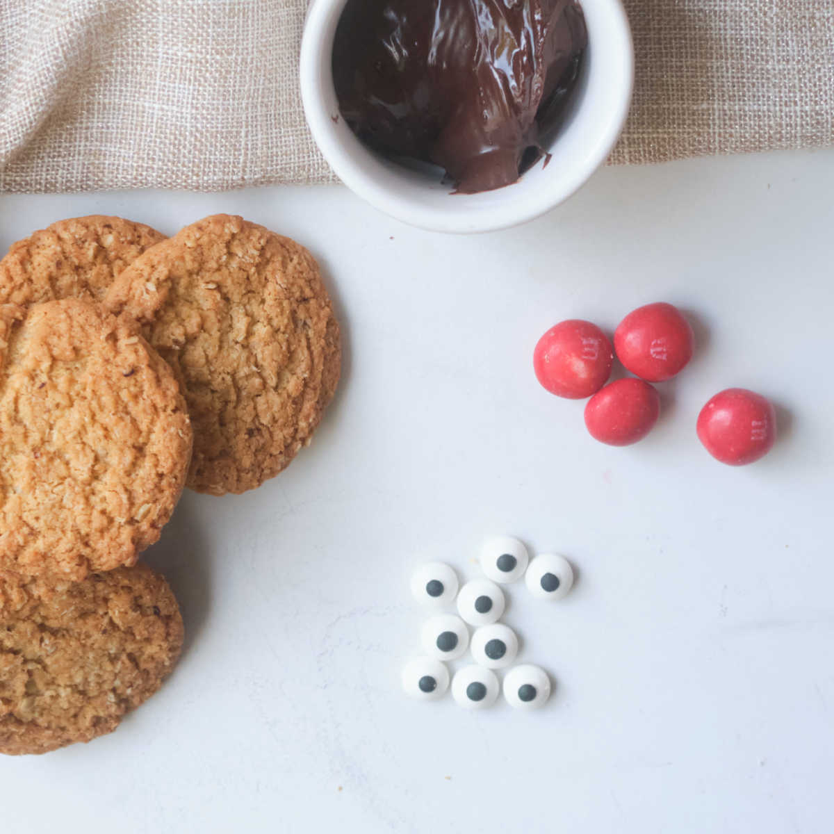 supplies to decorate reindeer cookies