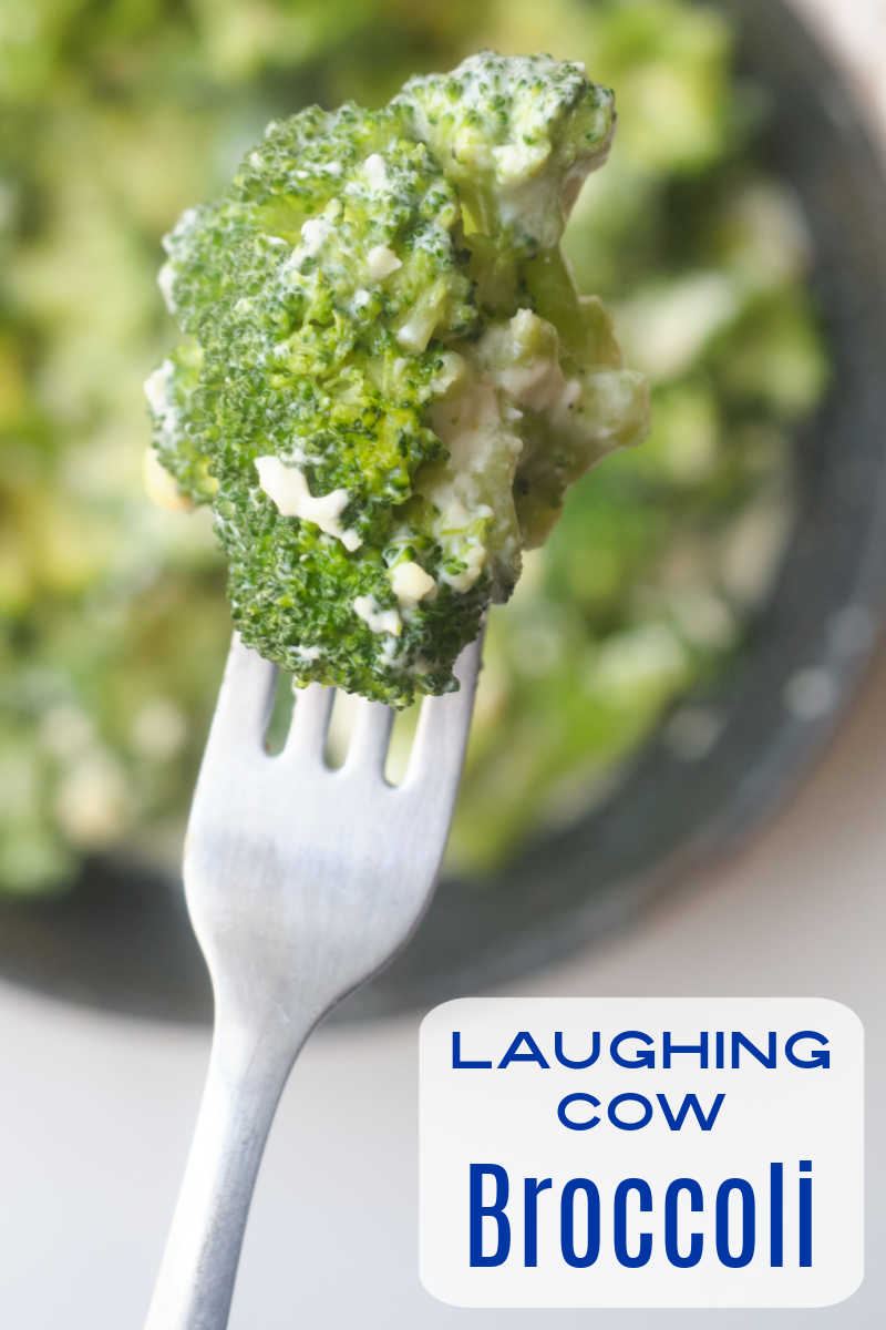 Bake this Laughing Cow broccoli recipe, when you want an easy creamy vegetable side dish for the whole family to enjoy.