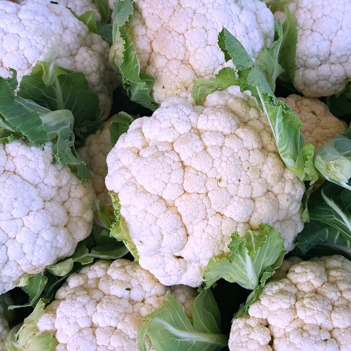 cauliflower at farmers market