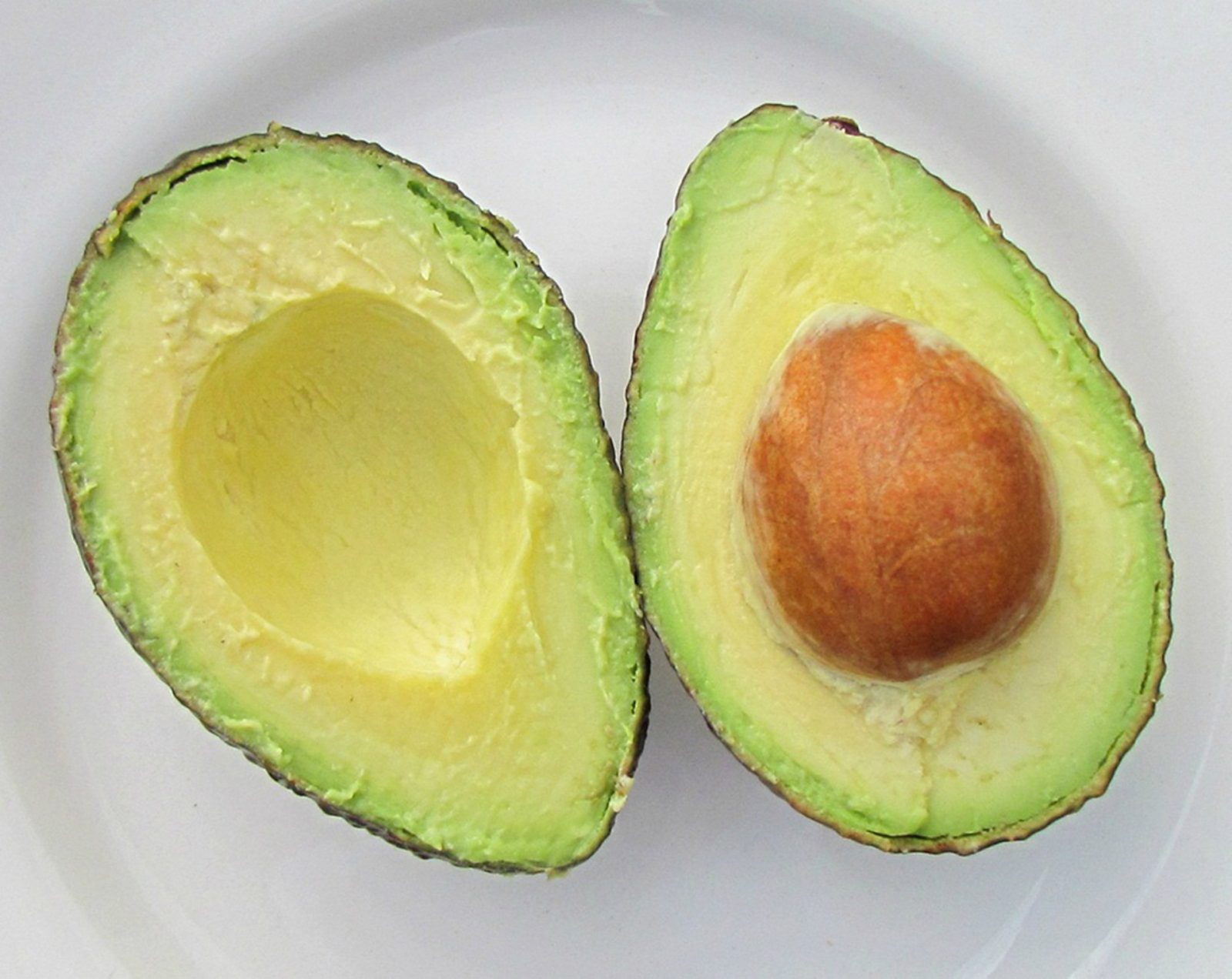 avocado cut in half