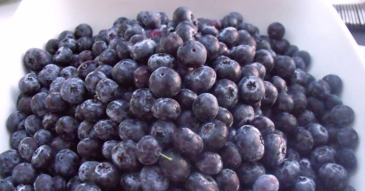 fresh blueberries in white bowl