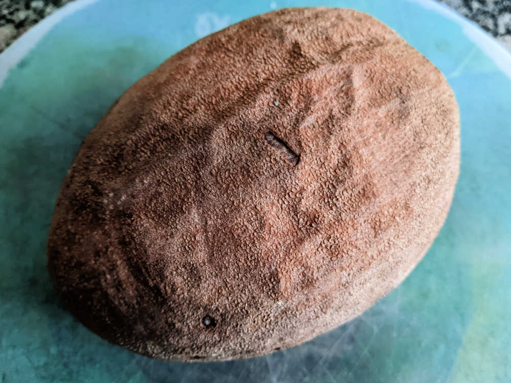 fresh ripe mamey sapote