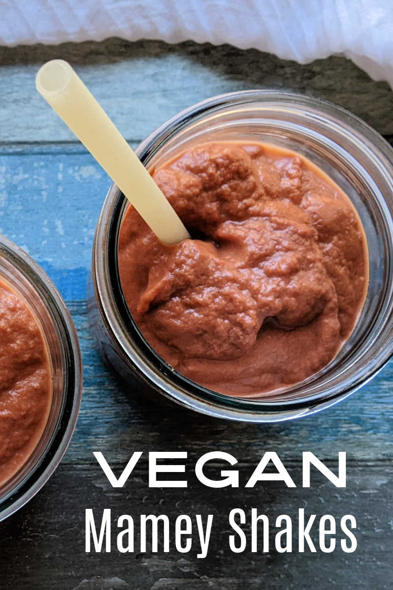 This vegan mamey shake is decadent and delicious, even though it is made without dairy and without added sugar. 