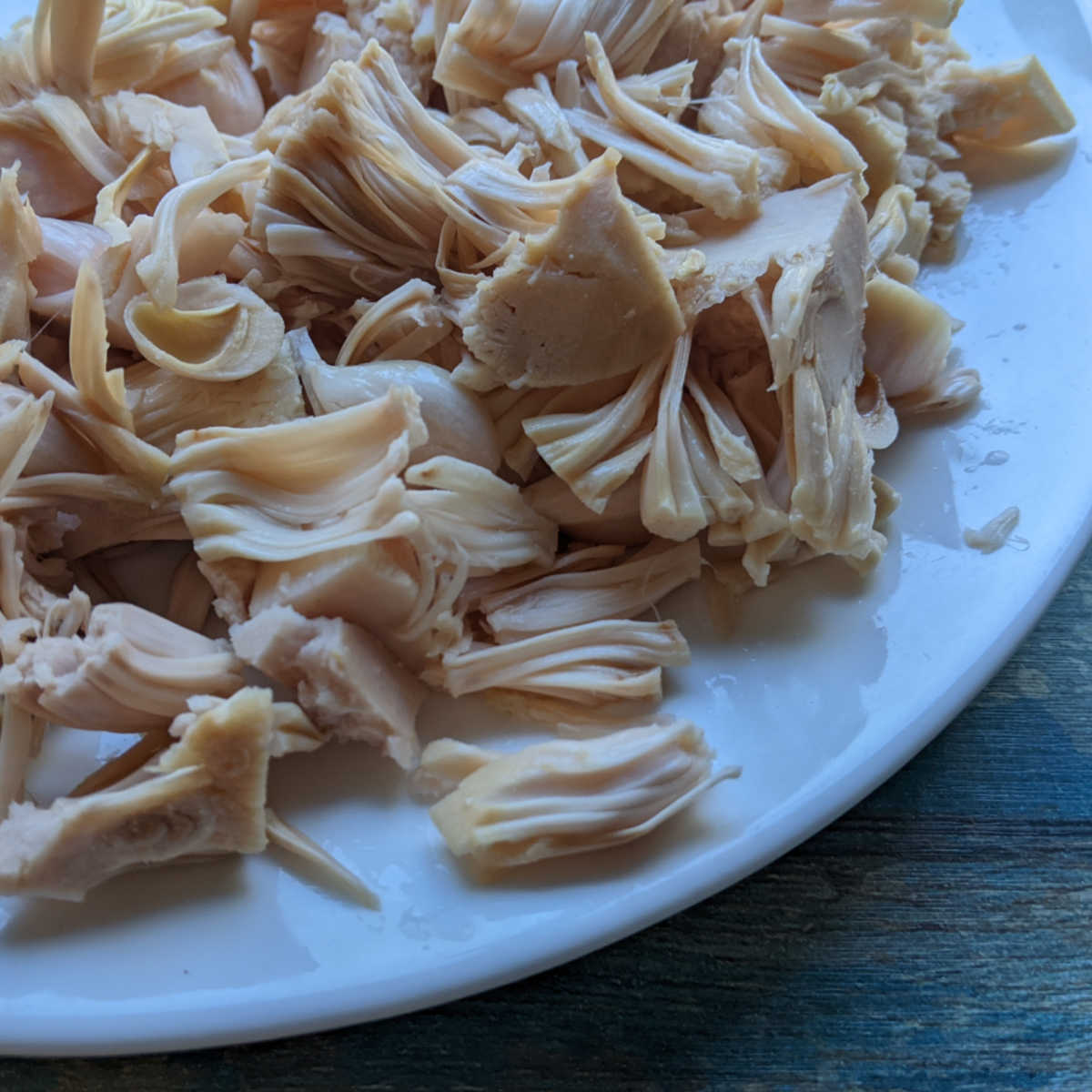 shredded jackfruit