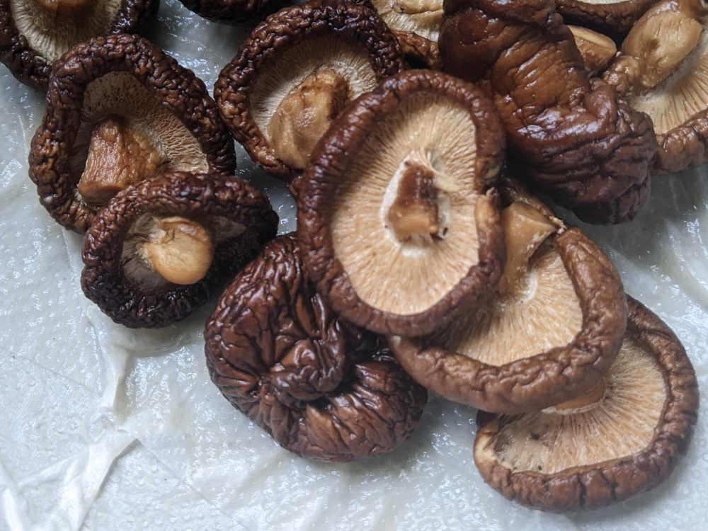 drained mushrooms