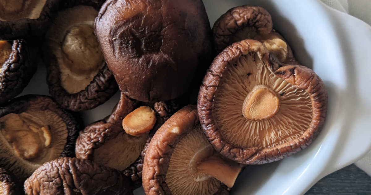 how to rehydrate dried mushrooms