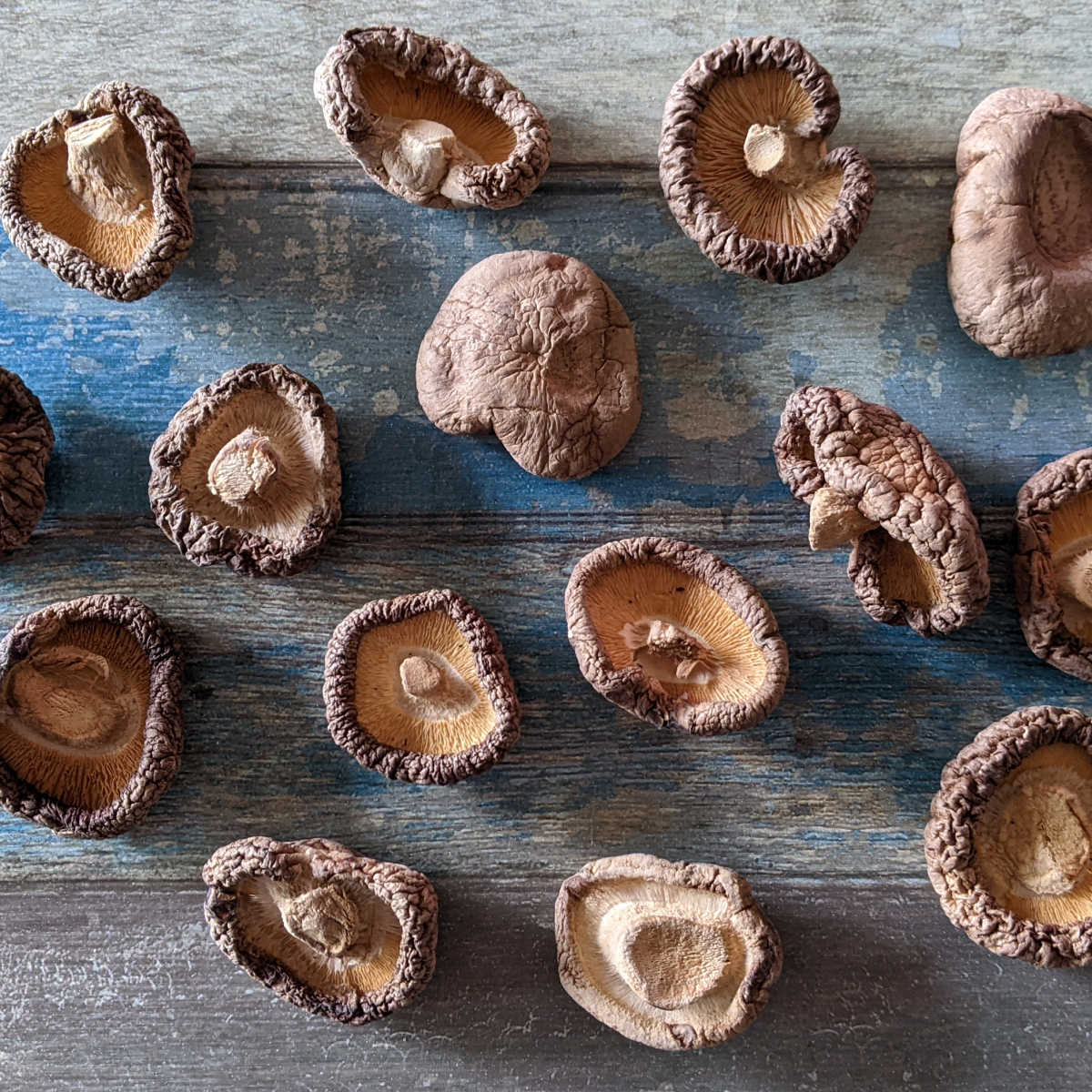 shitake dried mushrooms