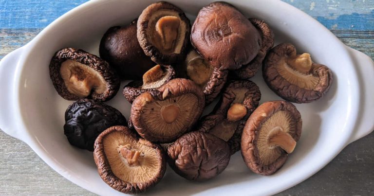 How to Rehydrate Dried Mushrooms - Mama Likes To Cook