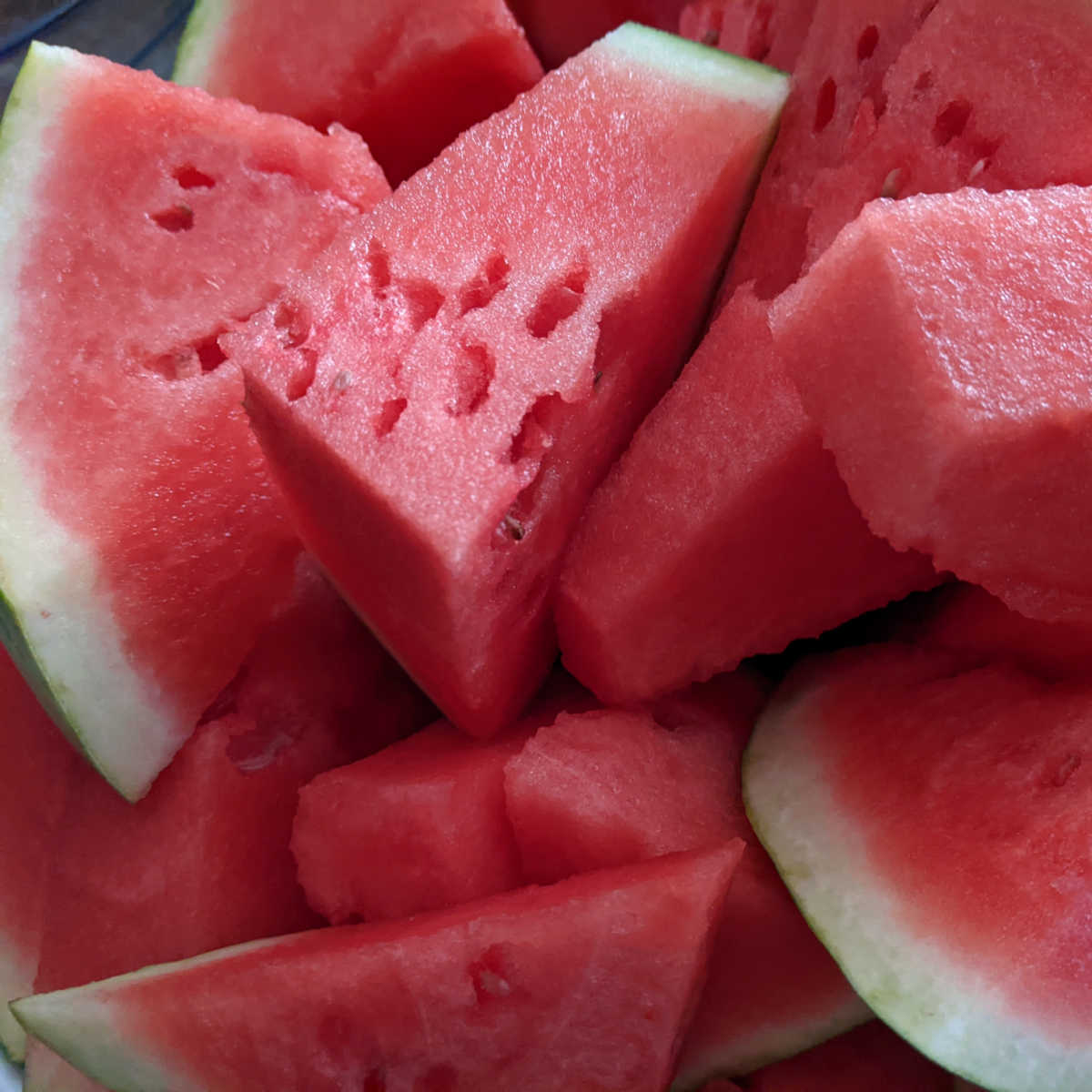 watermelon 