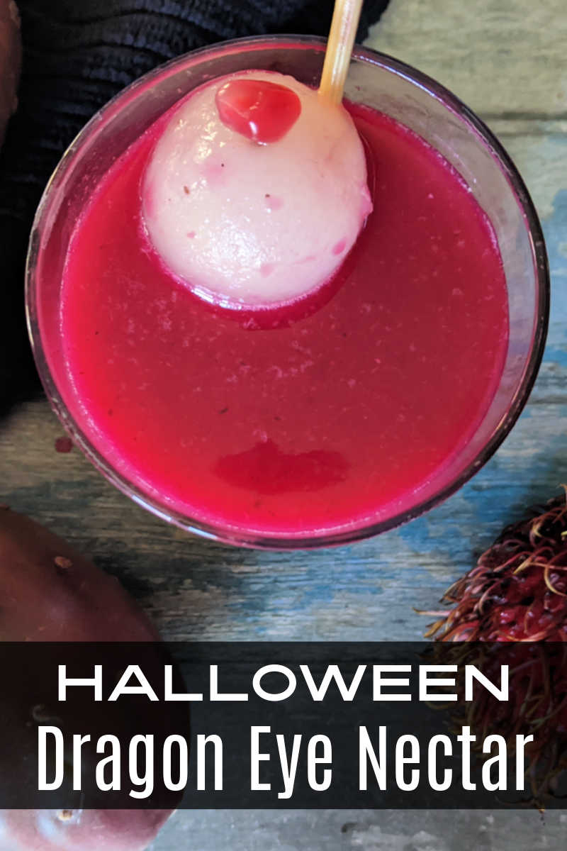This bloody dragon eye nectar is a perfect drink for Halloween since it looks spooky, but it is made with delicious fruit. 
