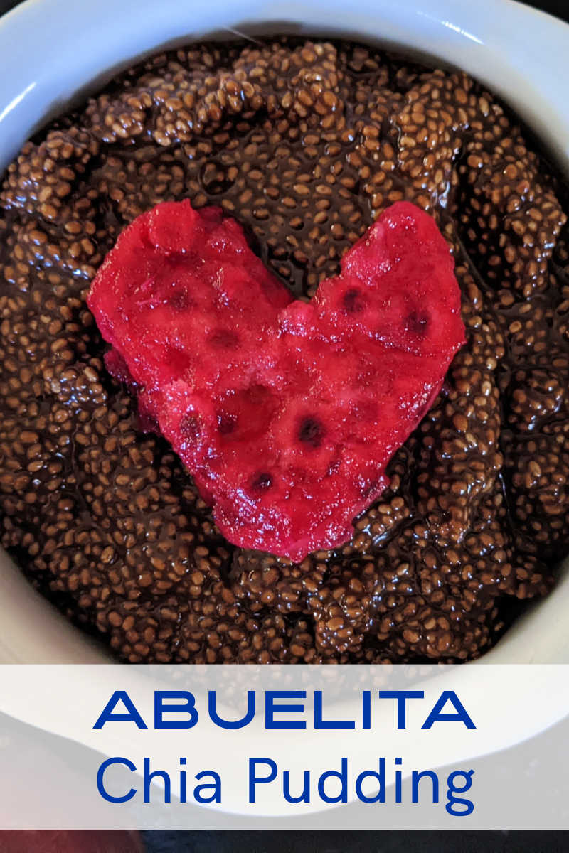 Enjoy the Abuelita chia pudding recipe, when you combine these flavors of Mexico in one tasty chocolate, chia and prickly pear dessert. 