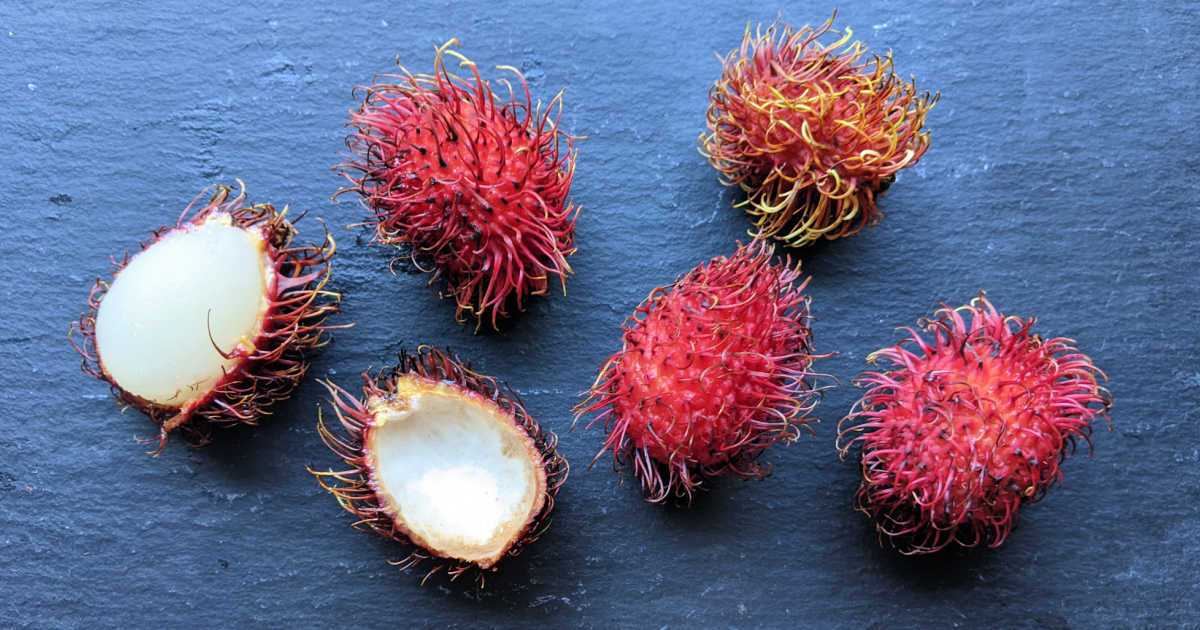 exotic rambutan fruit