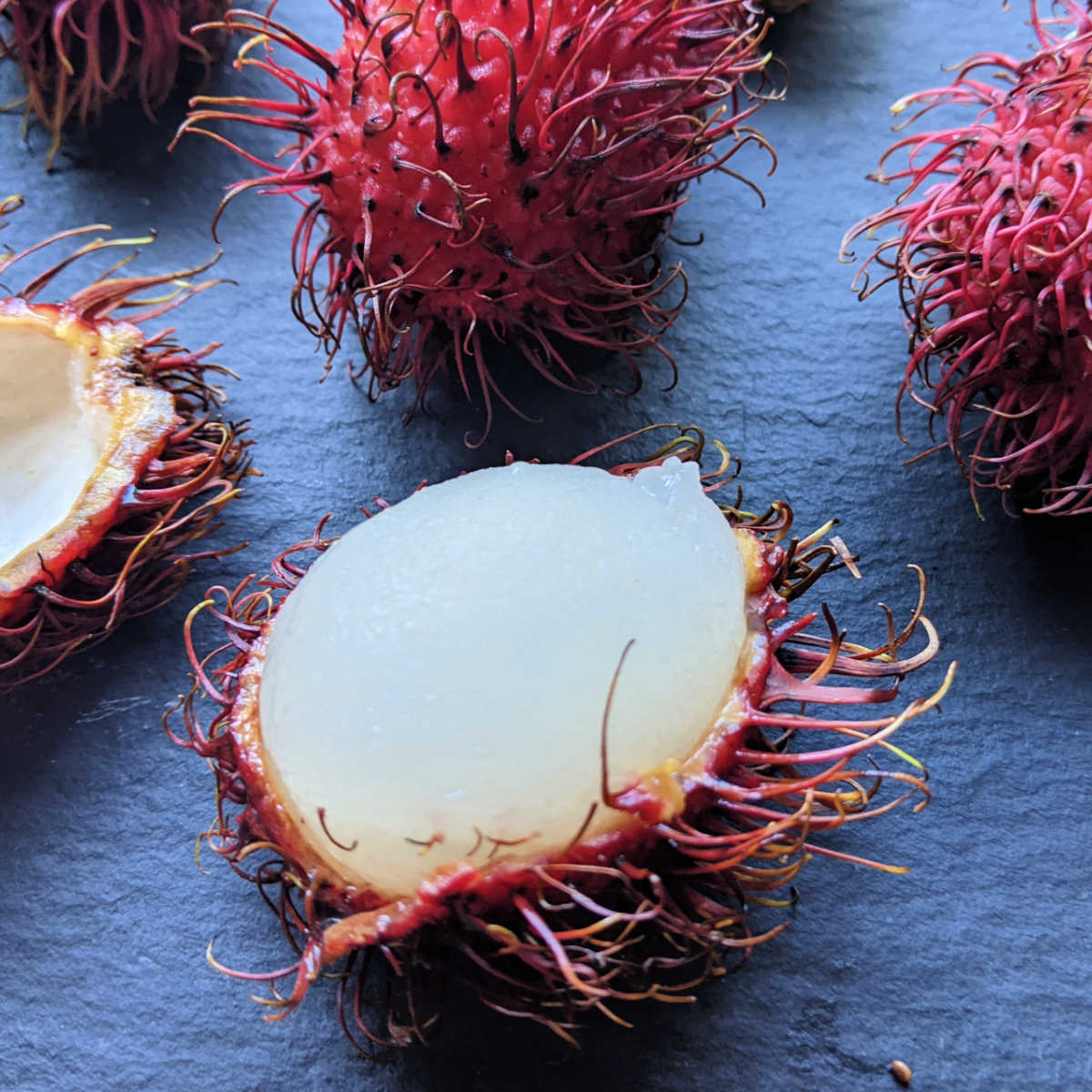 inside rambutan fruit