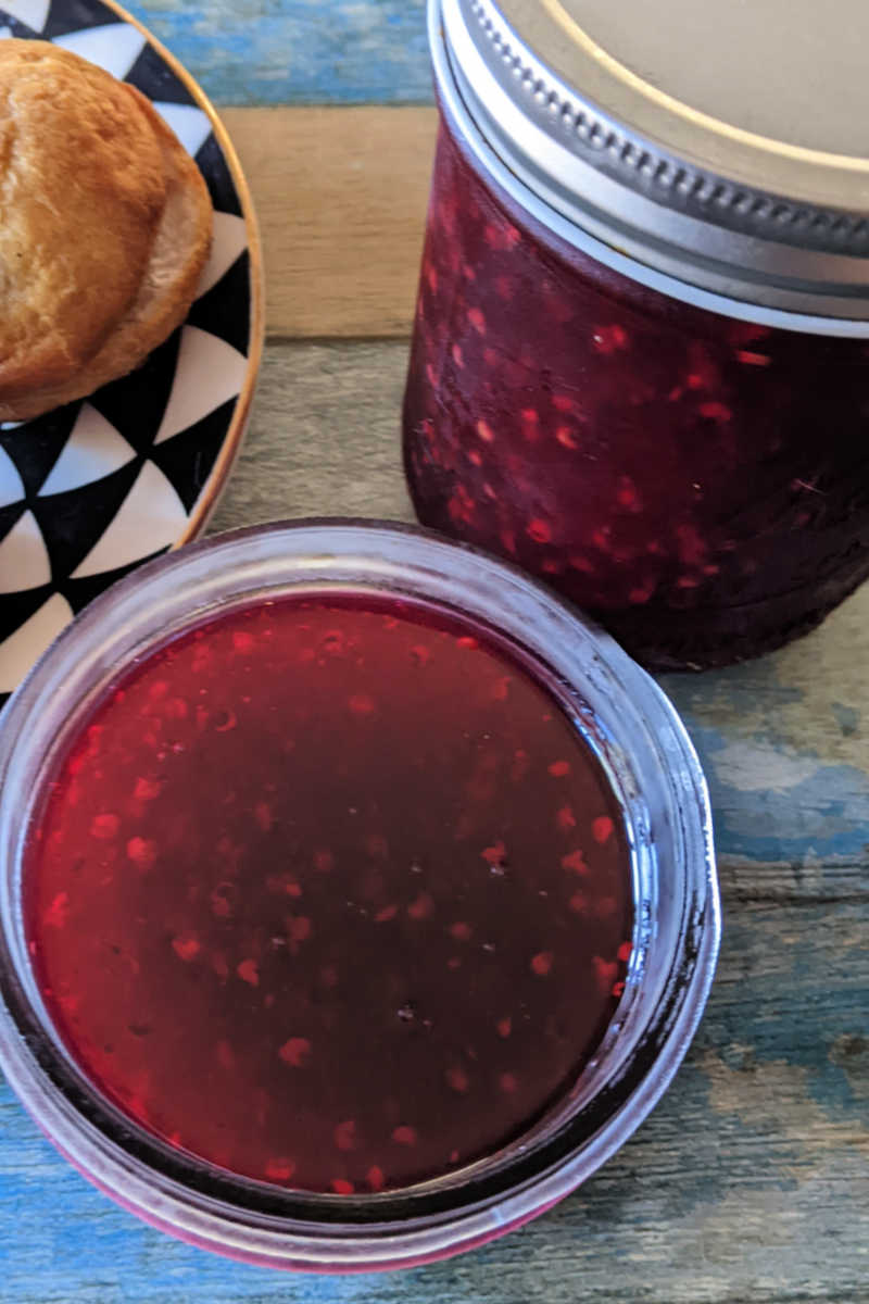 Make a small batch of prickly pear jam without added pectin, so you can enjoy this delicious fruit at home anytime. 