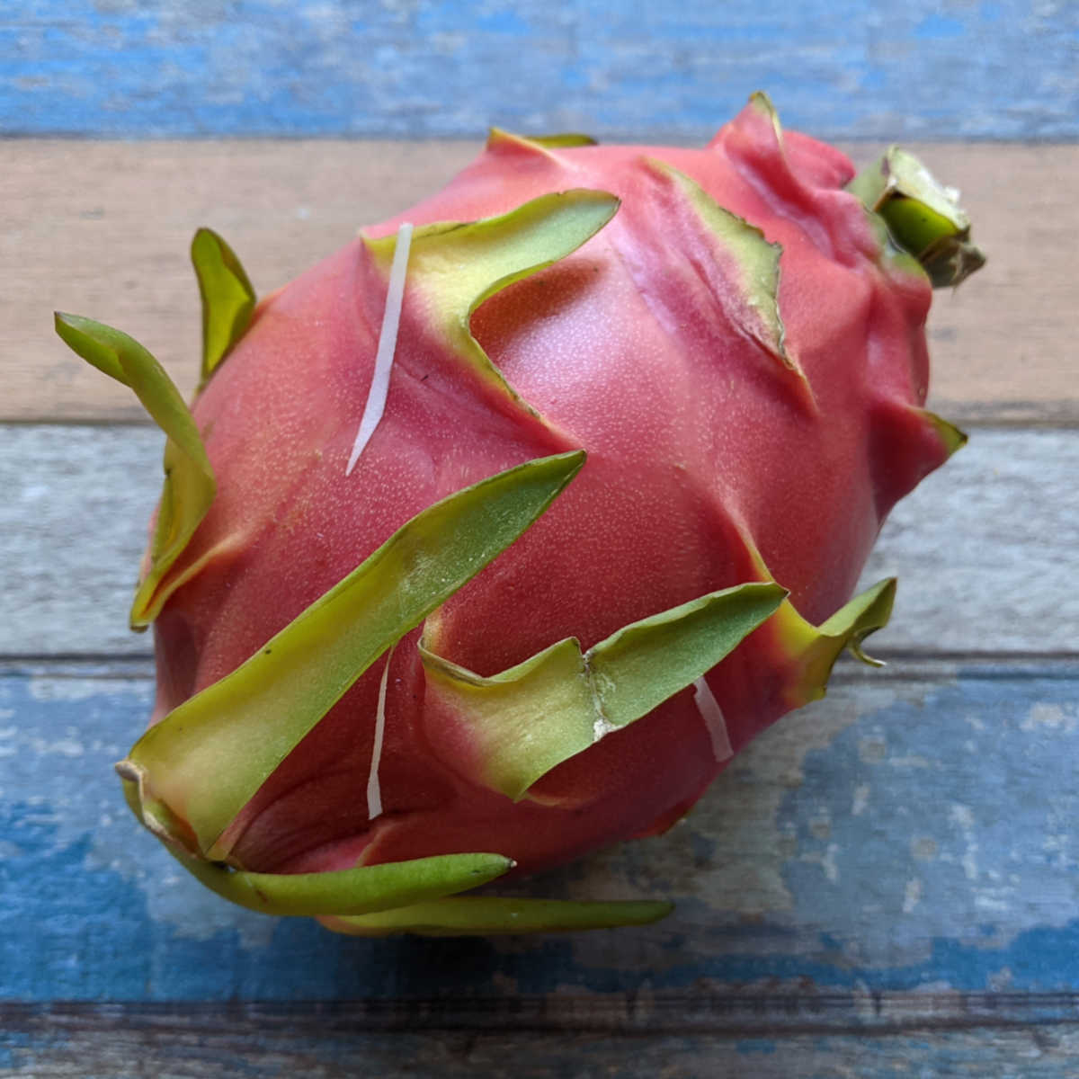 pitaya dragon fruit