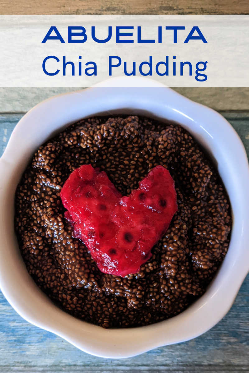 Enjoy the Abuelita chia pudding recipe, when you combine these flavors of Mexico in one tasty chocolate, chia and prickly pear dessert. 