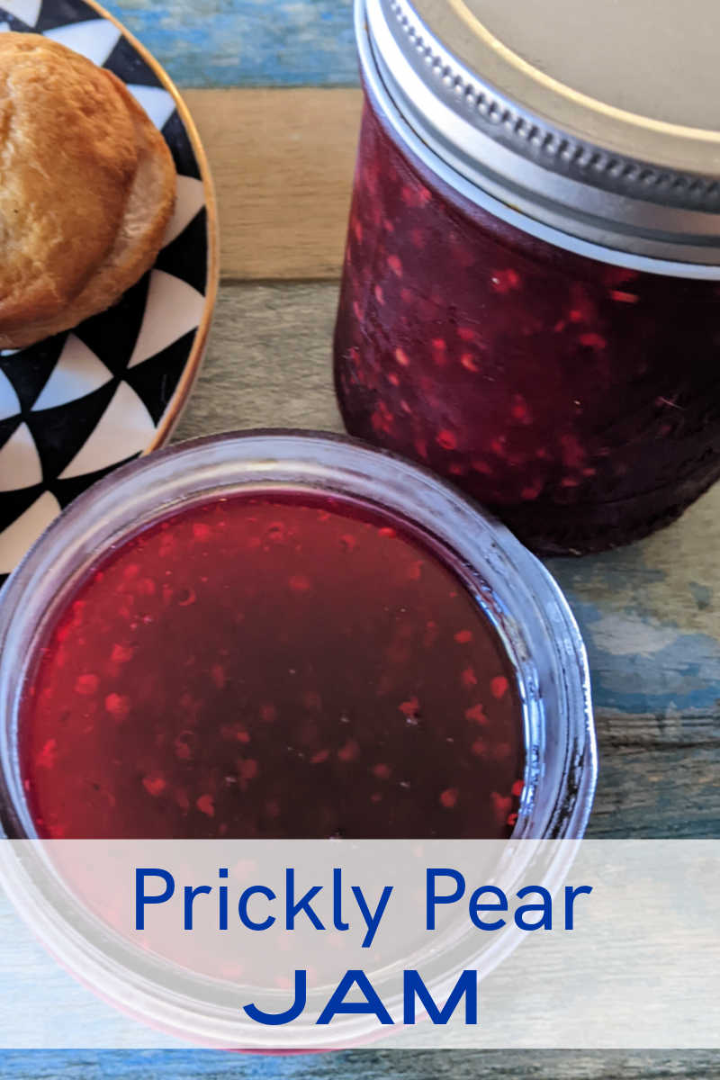 Make a small batch of prickly pear jam without added pectin, so you can enjoy this delicious fruit at home anytime. 