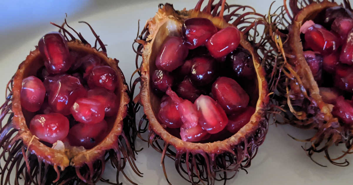 rambutan halloween snacks