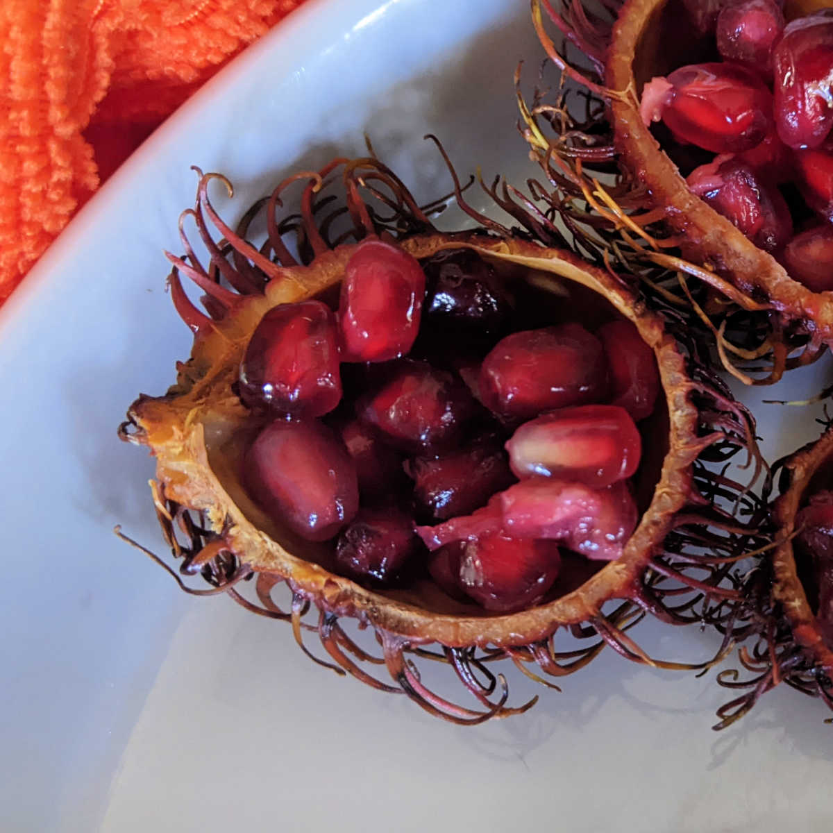 rambutan pomegranate monster snacks