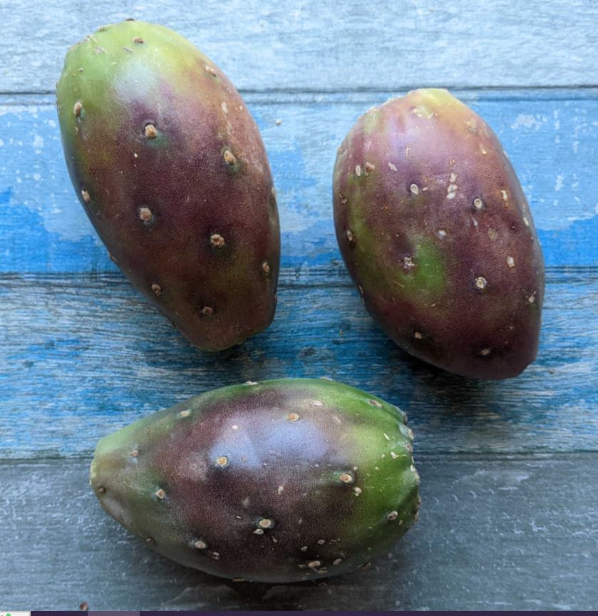 three prickly pear fruit