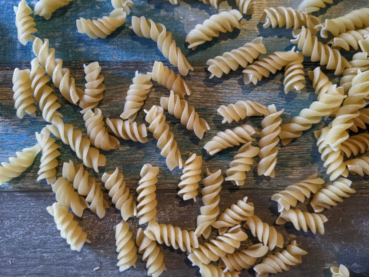 corkscrew rotini pasta