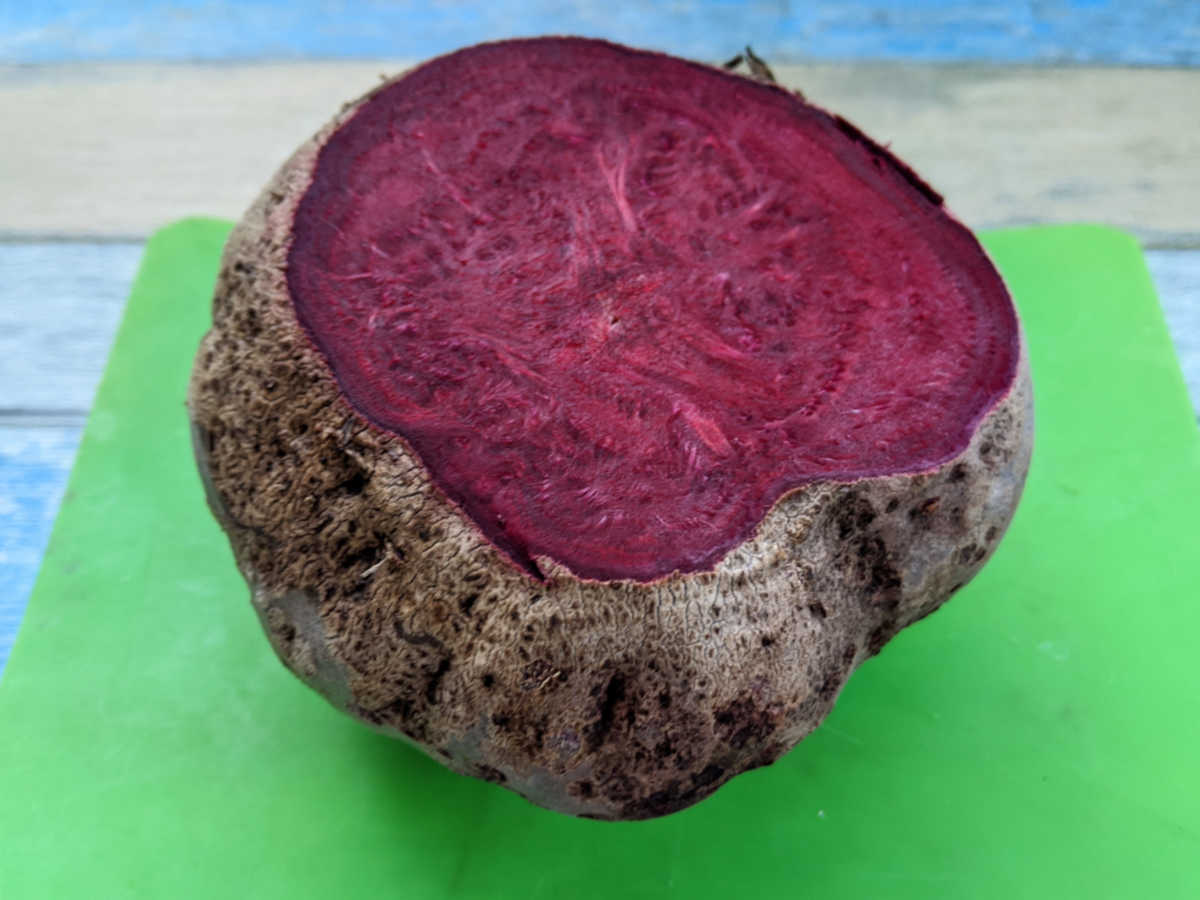 trimmed beet