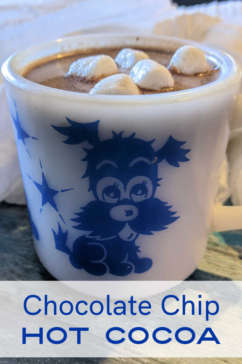 Simple chocolate chip hot cocoa is easy to make, but when you add delicious flavored syrup the warm drink is extra special. 