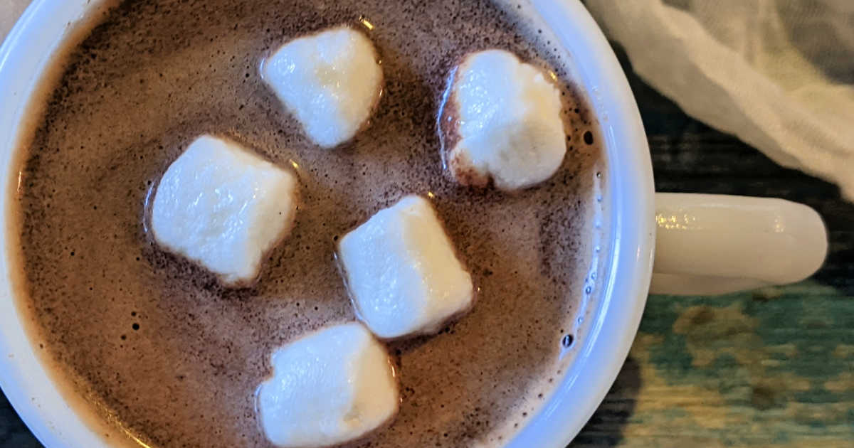close up chocolate chip hot cocoa