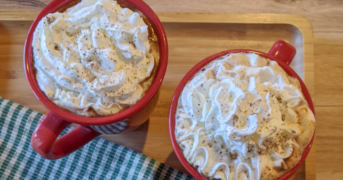 Chocolate Chip Mocha Latte Recipe - Mama Likes To Cook