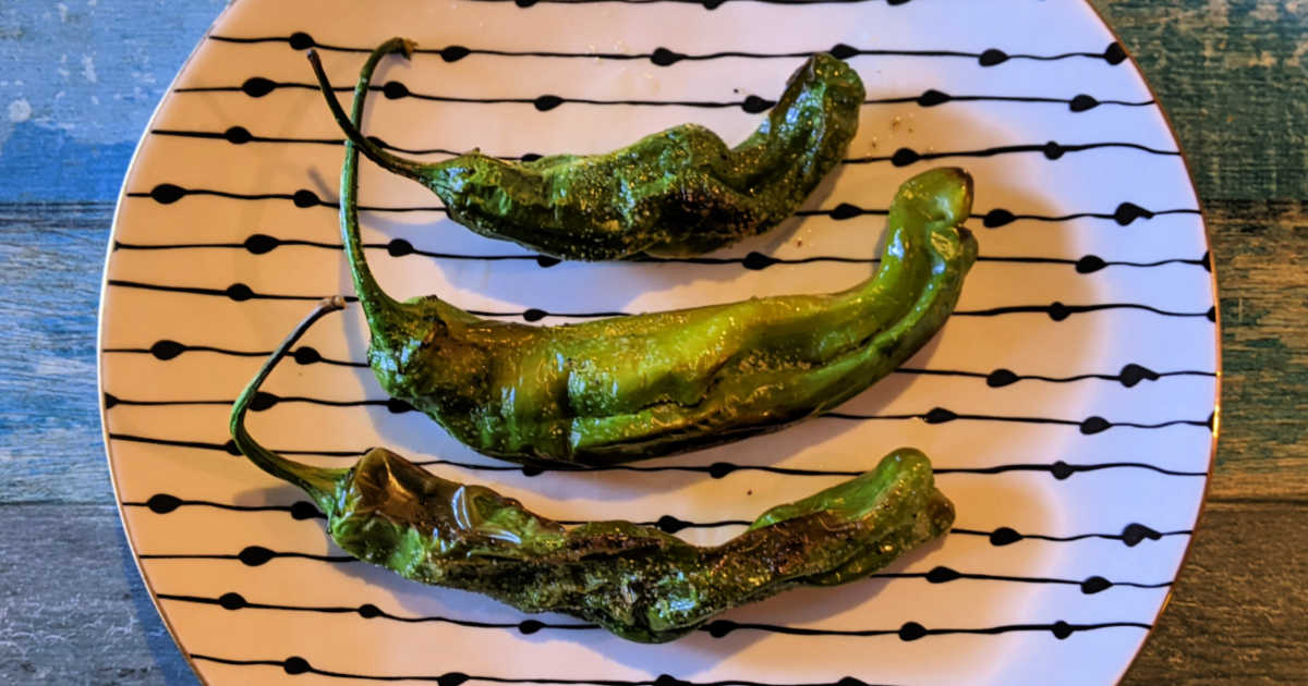 3 roasted shishitos