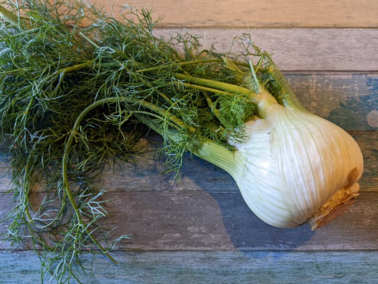 Easy Skillet Fennel Recipe Mama Likes To Cook