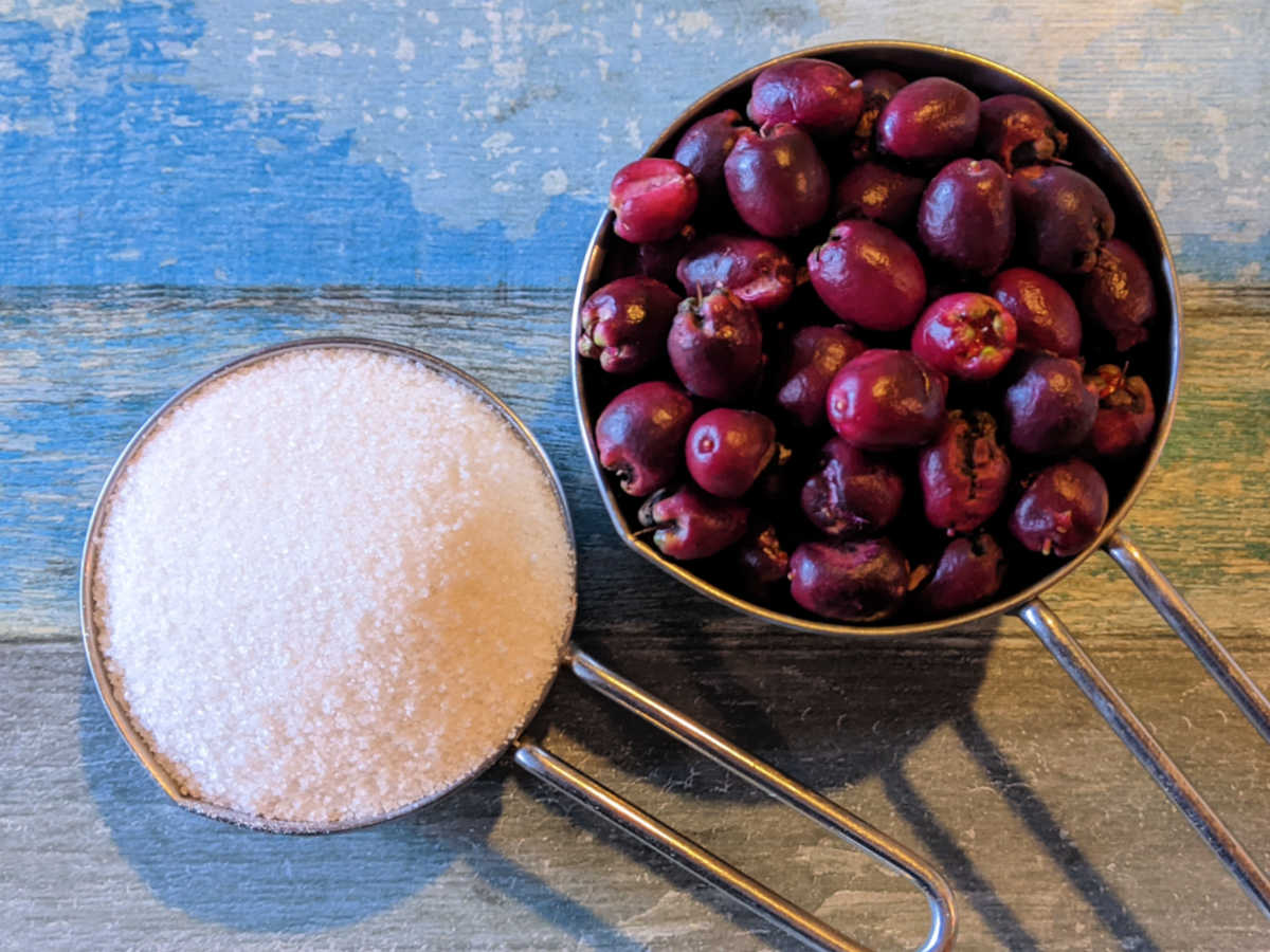 ingredients for lilly pilly jam