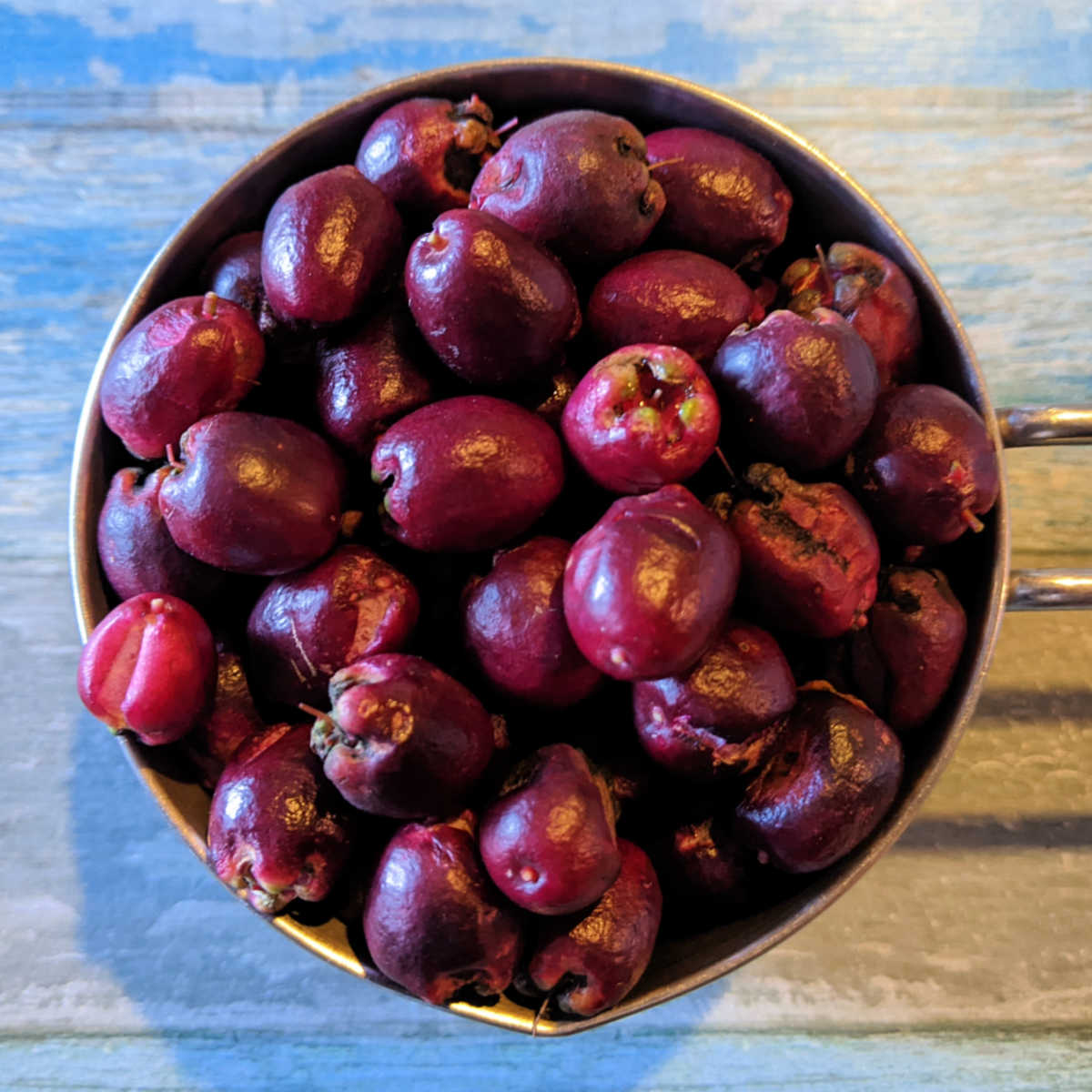 lilly pilly berries in measuring cup