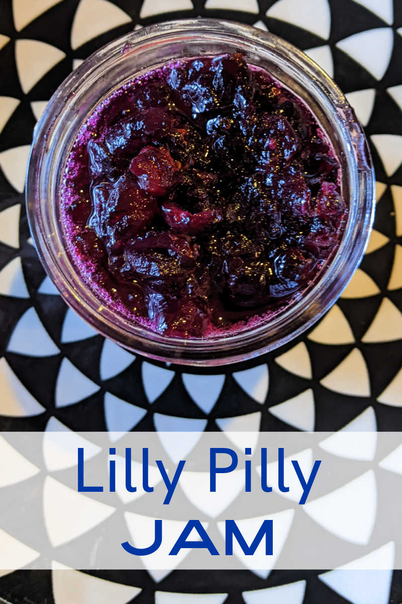 It's easy to make sweet and tart lilly pilly jam at home with my recipe and fresh lilly pilly berries from a tree, bush or hedge. 