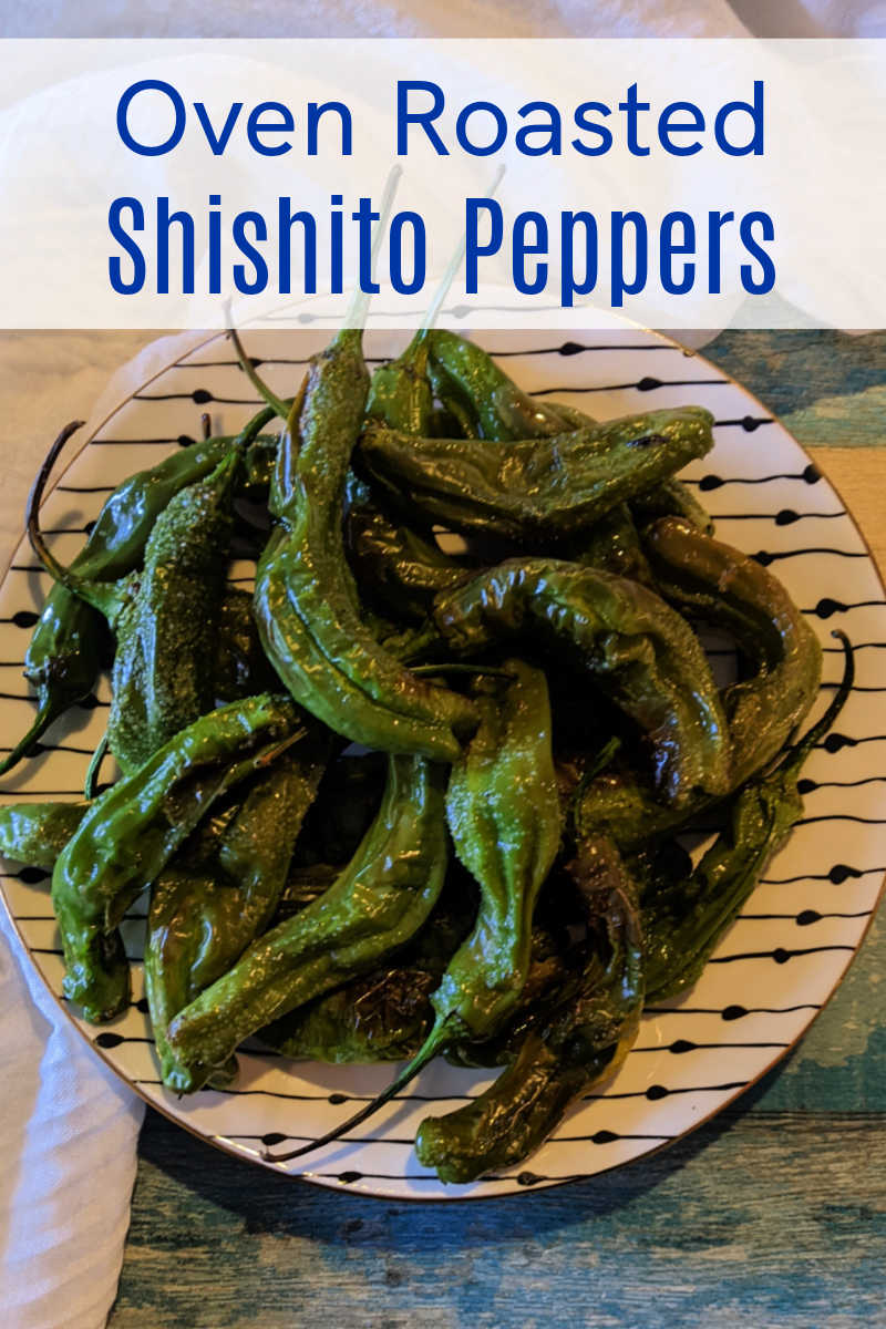 oven blistered shishito peppers