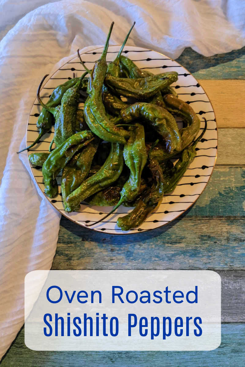 You can order blistered peppers at restaurants, but it is also very easy to roast shishito peppers in the oven at home. 