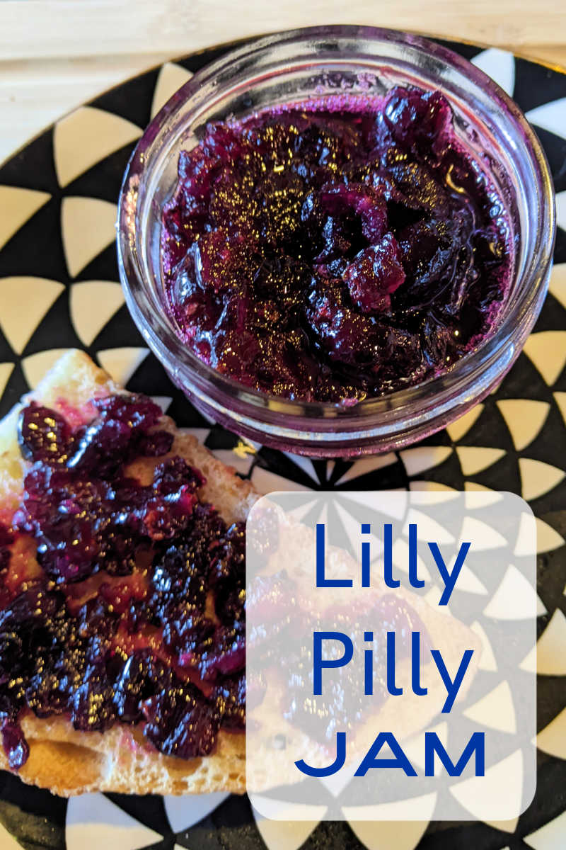 It's easy to make sweet and tart lilly pilly jam at home with my recipe and fresh lilly pilly berries from a tree, bush or hedge. 