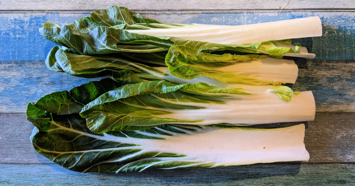 trimmed bok choi leaves