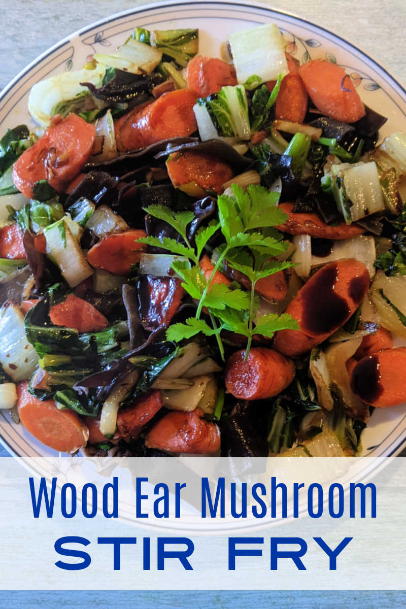 This wood ear mushroom stir fry made with bok choy and carrots is a feel good vegan dish that is easy to prepare for dinner or lunch. 